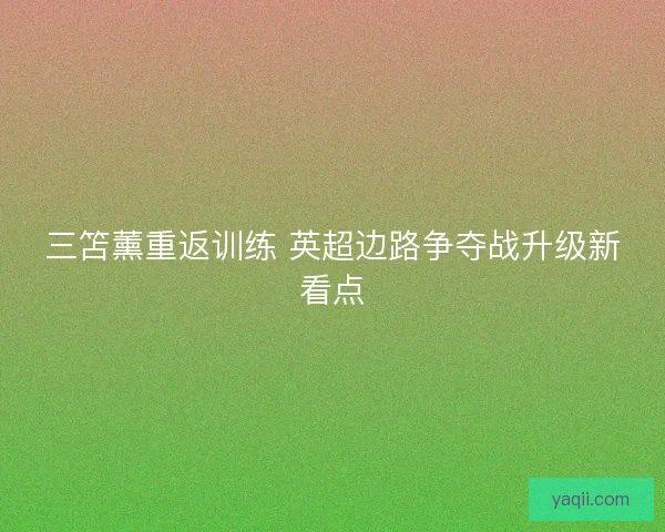 三笘薰重返训练 英超边路争夺战升级新看点